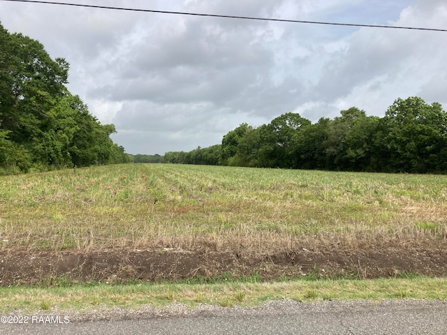 00001 Russo Millazzo Rd, Saint Martinville LA, 70582 land for sale