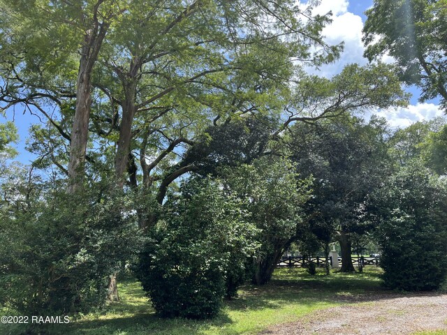 101 Grand Manor Dr, Youngsville, LA 70592
