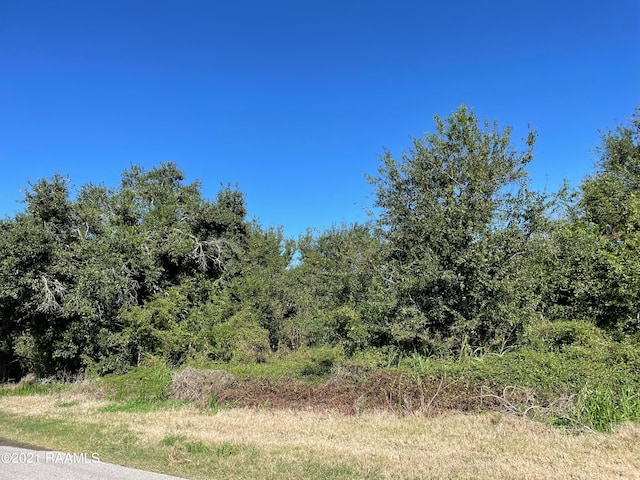 0 Front Ridge Rd, Pecan Island LA, 70548 land for sale