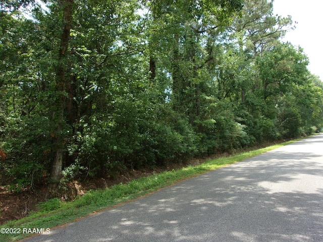 E Villien Ave, Abbeville LA, 70510 land for sale