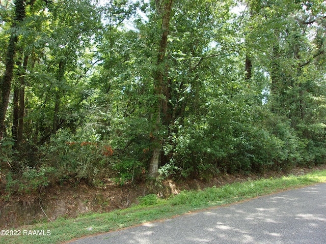 Listing photo 2 for E Villien Ave, Abbeville LA 70510