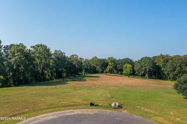 LOT42 Yankee Camp Rd, Opelousas LA, 70570 land for sale