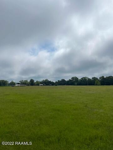 Dupre Rd Unit 2, Opelousas, LA 70570 - photo 3