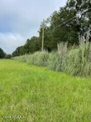 Dupre Rd Unit 2, Opelousas, LA 70570 - photo 5