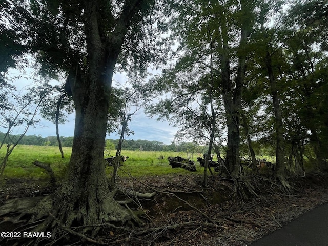 600BLK Credeur Rd, Sunset, LA 70584 - photo 11
