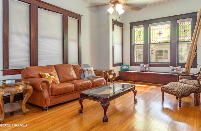 living room with ceiling fan and light hardwood / wood-style flooring