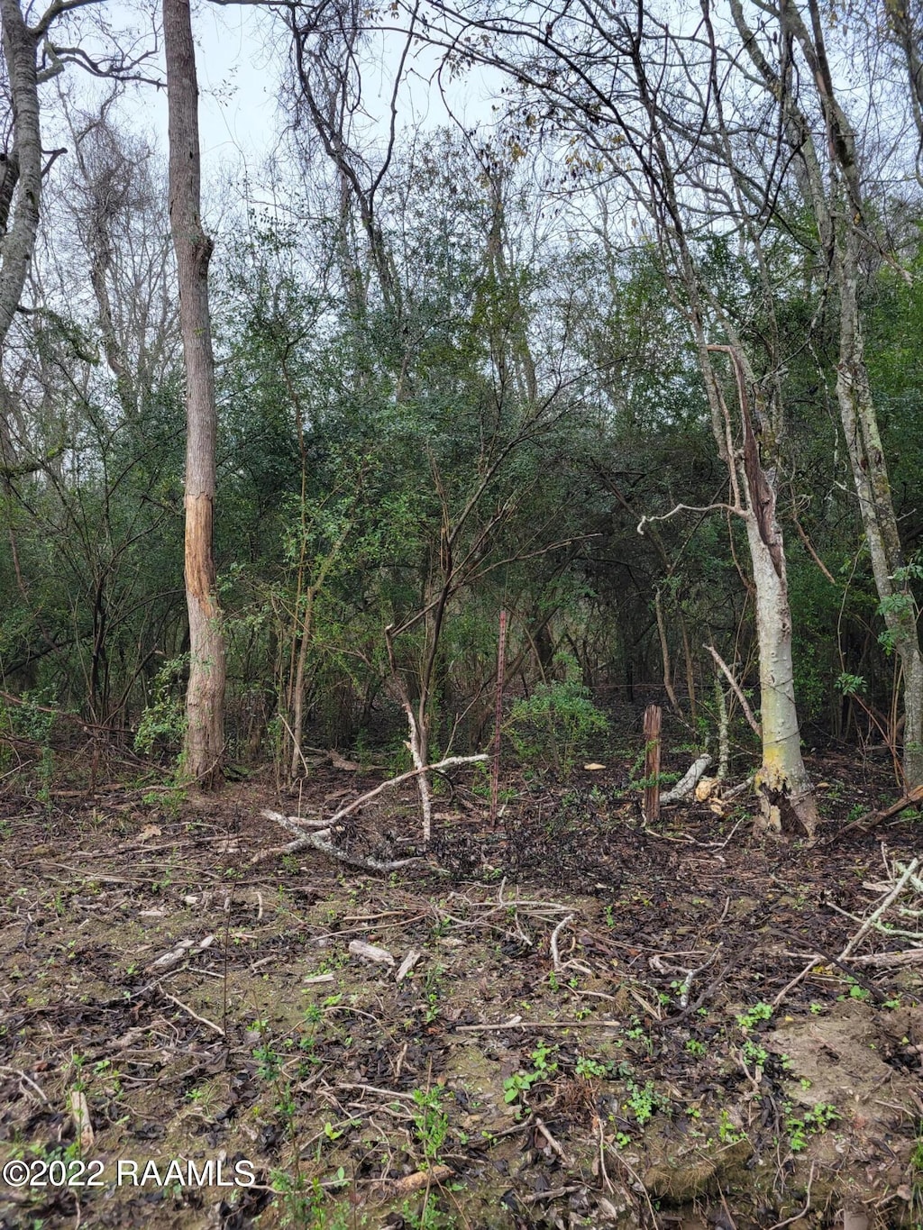 TBD Wikoff Cove Dr, Church Point, LA 70525 - photo 1