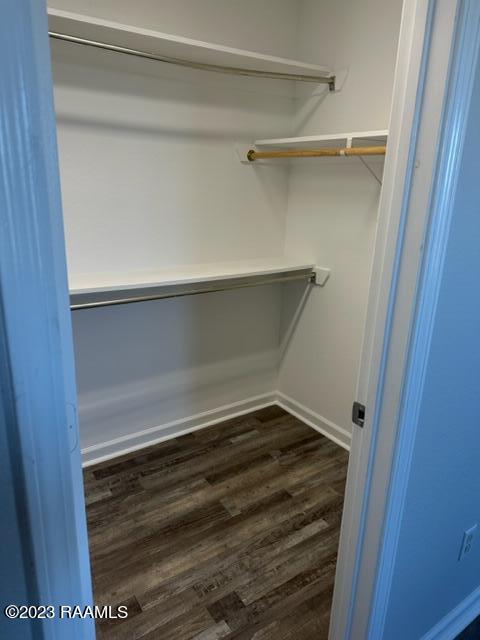 walk in closet featuring dark wood-type flooring