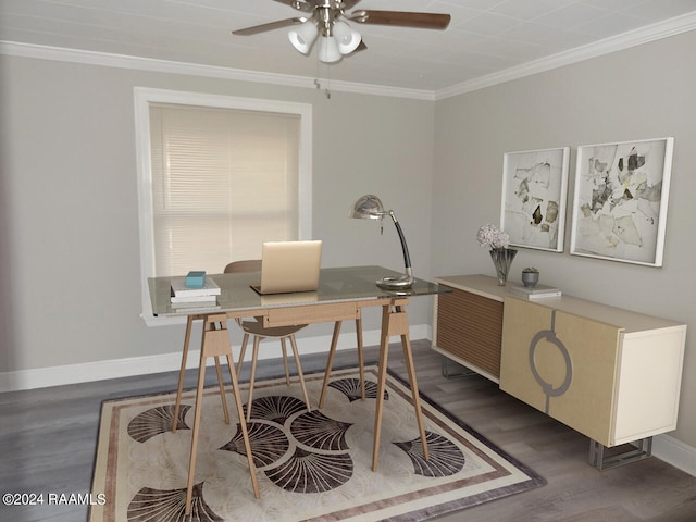 office featuring ceiling fan, dark hardwood / wood-style flooring, and ornamental molding