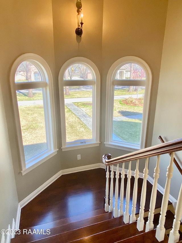 stairs with dark hardwood / wood-style flooring and plenty of natural light