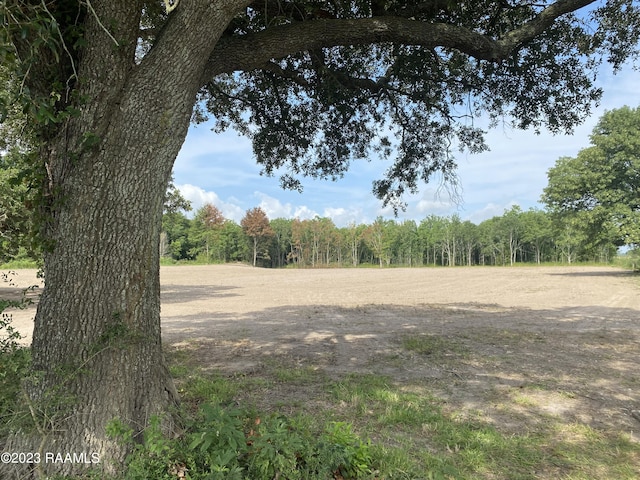 TBD Ebenezer Rd, Crowley LA, 70526 land for sale