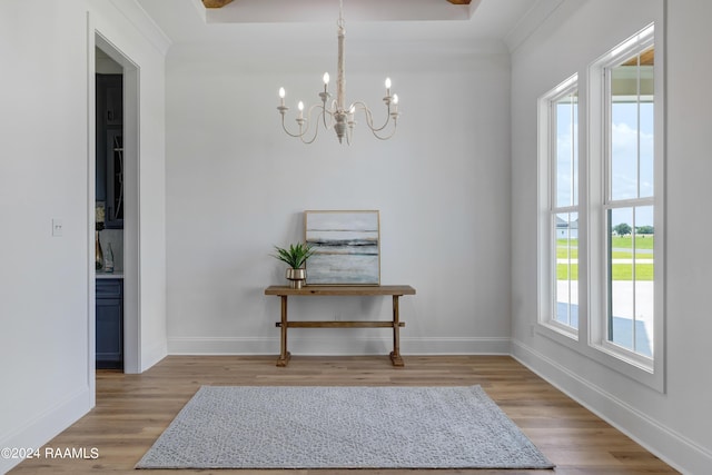 interior space featuring light hardwood / wood-style floors, an inviting chandelier, a wealth of natural light, and crown molding