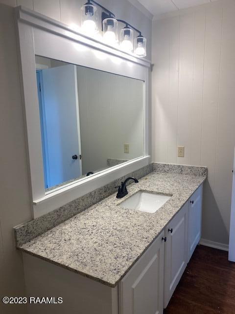 bathroom with large vanity and wood-type flooring