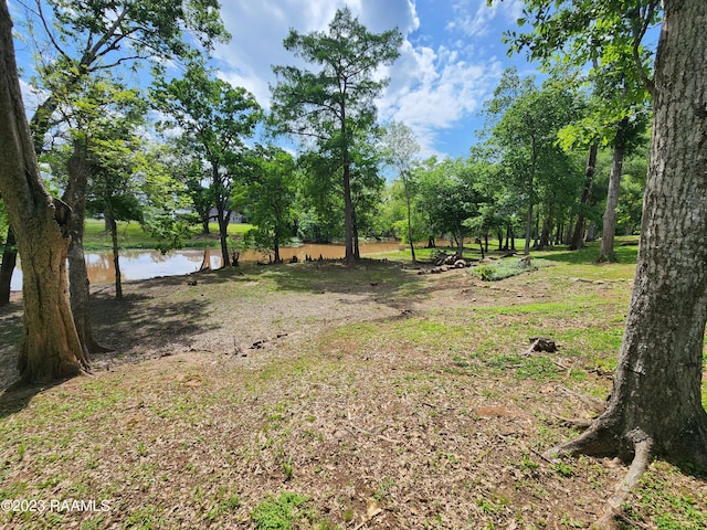 view of yard featuring a water view