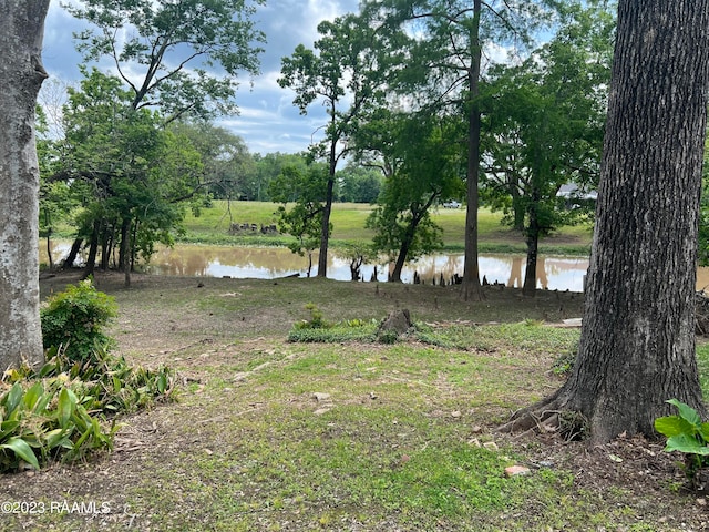 view of yard featuring a water view