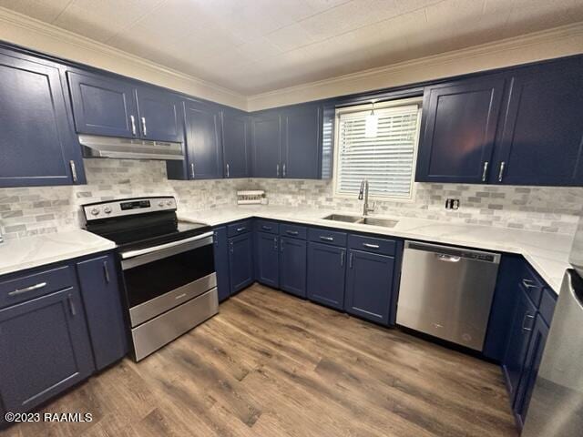 kitchen featuring blue cabinetry, dark wood-type flooring, sink, and stainless steel appliances