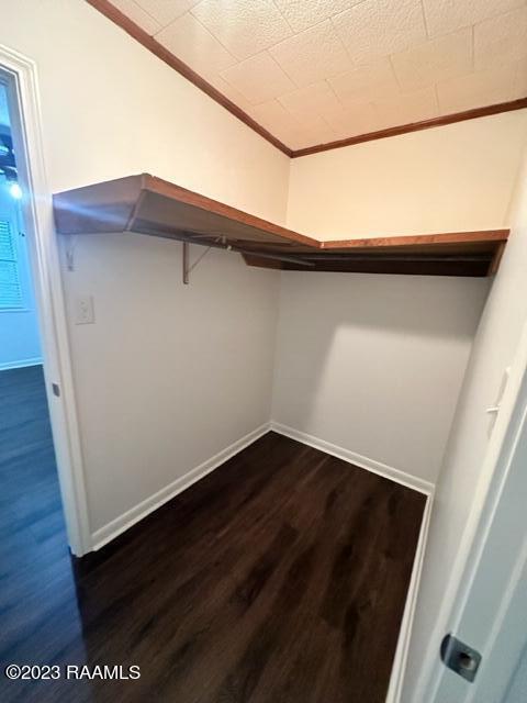 walk in closet featuring dark hardwood / wood-style floors