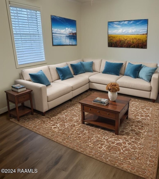 living room featuring dark hardwood / wood-style floors