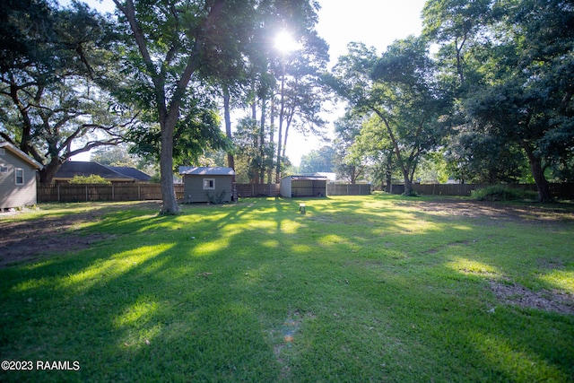 view of yard with a storage shed