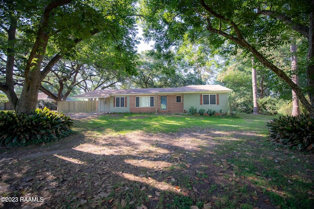 back of house featuring a yard