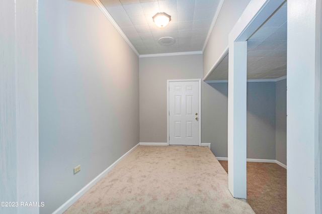 hall featuring crown molding and carpet