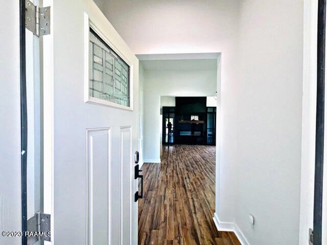 hallway featuring dark wood-type flooring