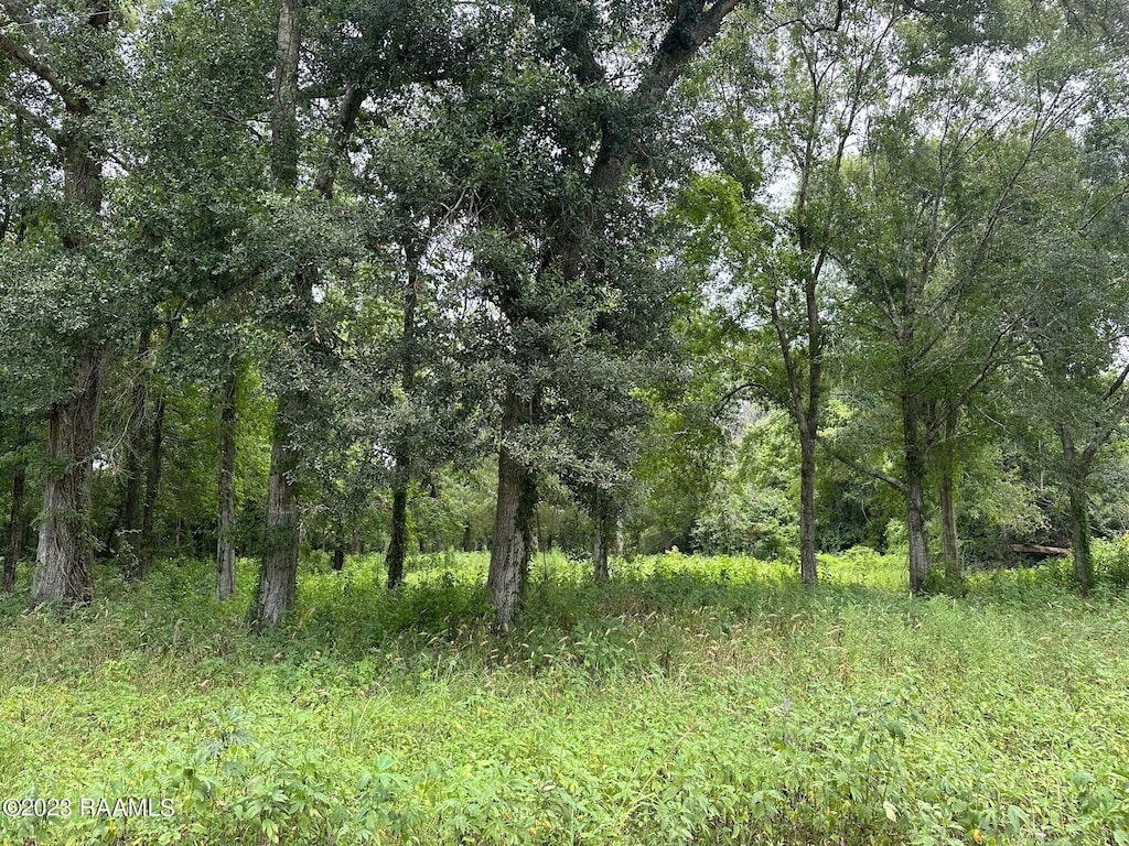 TBD Plaquemine St, Church Point, LA 70525 - photo 1