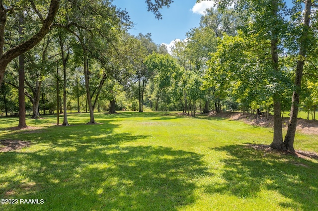 100BLK Riverview Rd, Lafayette LA, 70503 land for sale