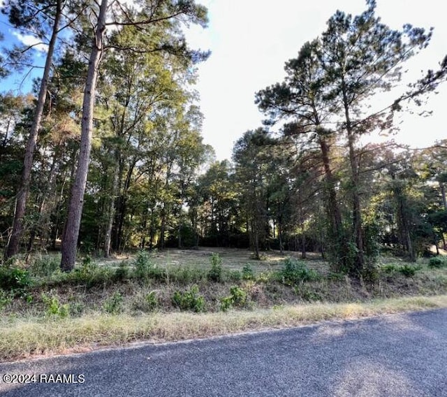 Tbd Haven Loop, Chatham LA, 71226 land for sale