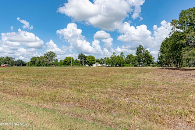 29 S Patterson Dr, Arnaudville LA, 70512 land for sale