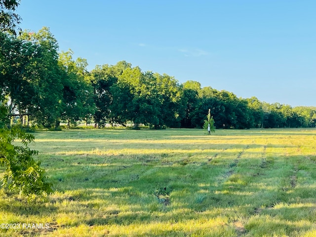 Coteau Rodaire Hwy, Arnaudville, LA 70512 - photo 4