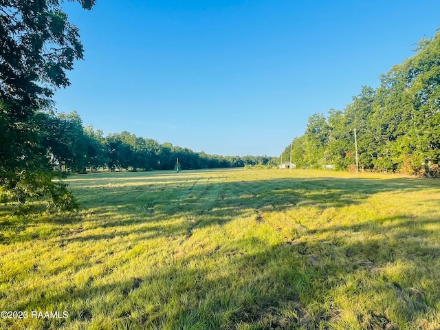 Coteau Rodaire Hwy, Arnaudville, LA 70512 - photo 5