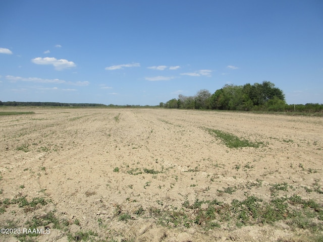 TBD Ronald Rd, Basile LA, 70515 land for sale