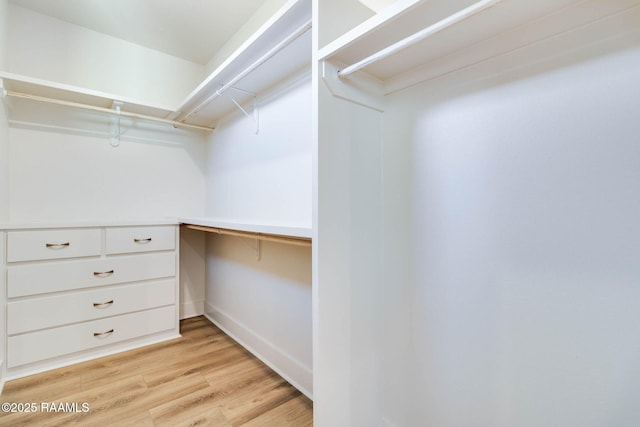 spacious closet with light hardwood / wood-style floors