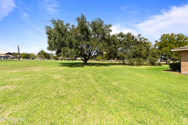 view of yard