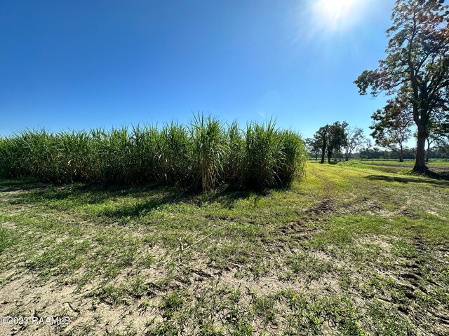 N Barn Rd, Breaux Bridge, LA 70517 - photo 3