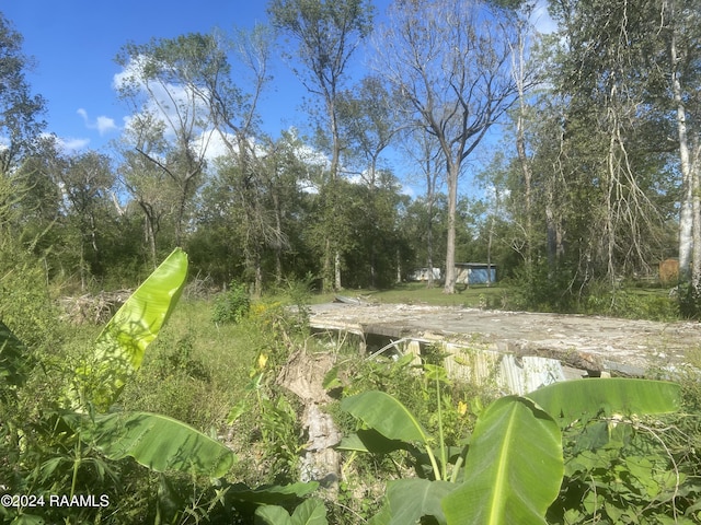 1132 Elm Run, Breaux Bridge, LA 70517 - photo 3