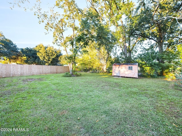 view of yard featuring a storage unit