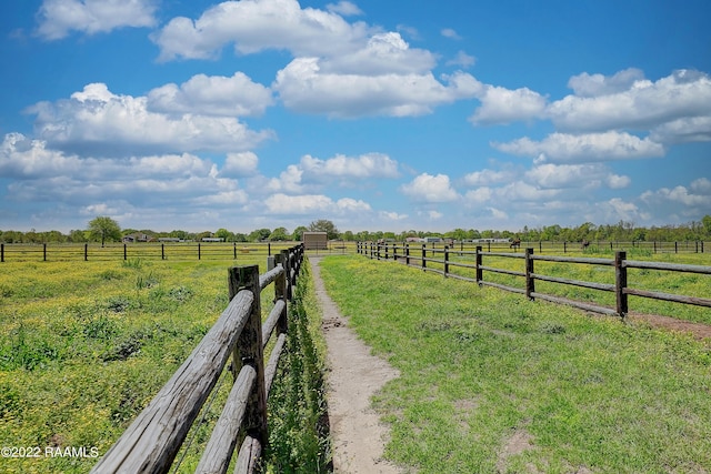 view of yard featuring a rural view