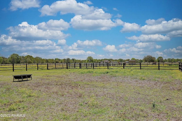 view of yard with a rural view