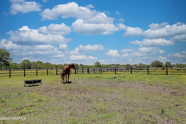 view of yard featuring a rural view