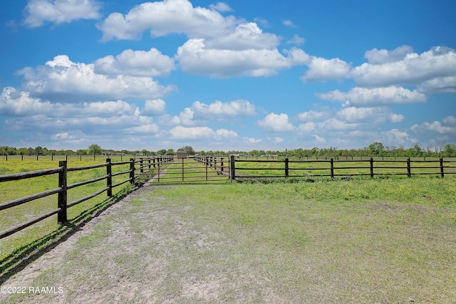 view of yard with a rural view