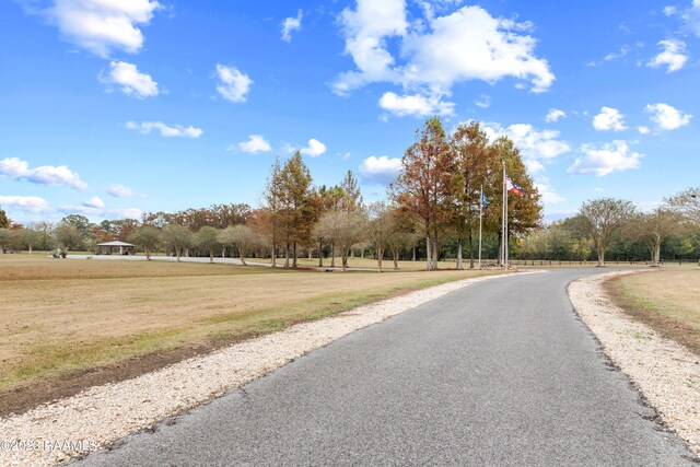 689 Walnut Rd, Arnaudville, LA 70512 - photo 30