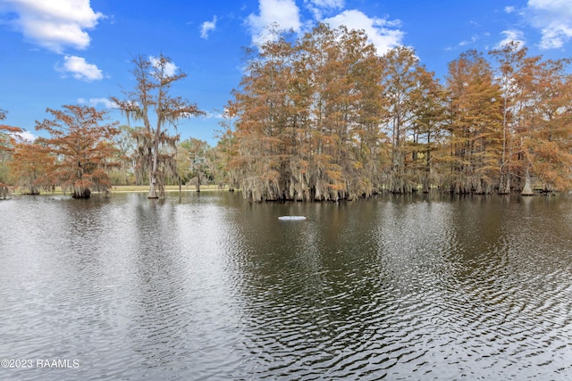 689 Walnut Rd, Arnaudville, LA 70512 - photo 38