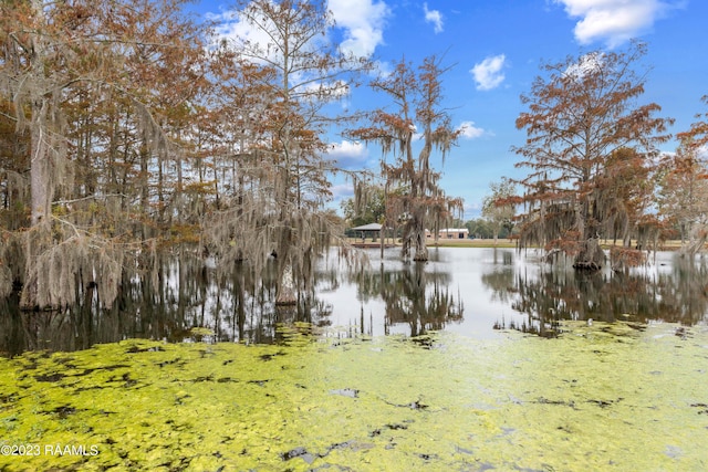 689 Walnut Rd, Arnaudville, LA 70512 - photo 39