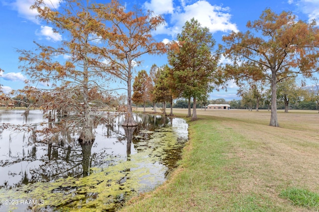 689 Walnut Rd, Arnaudville, LA 70512 - photo 40