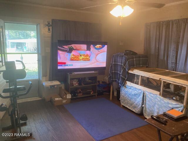 bedroom featuring ceiling fan and wood-type flooring