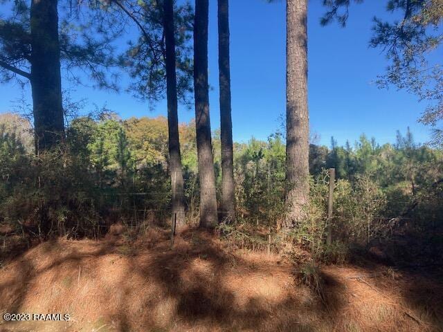 Landry Ln, Eunice LA, 70535 land for sale