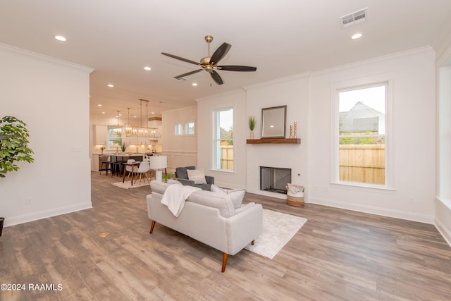 living room featuring ceiling fan, crown molding, and wood-type flooring