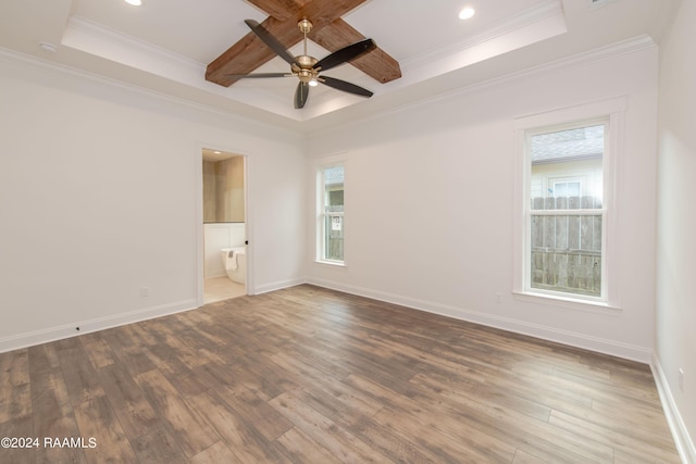 spare room featuring wood-type flooring, a raised ceiling, ceiling fan, and plenty of natural light